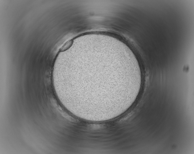 X0000110731409200907101417