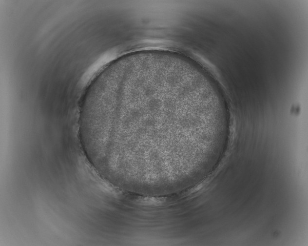 X0000110731411200907101417