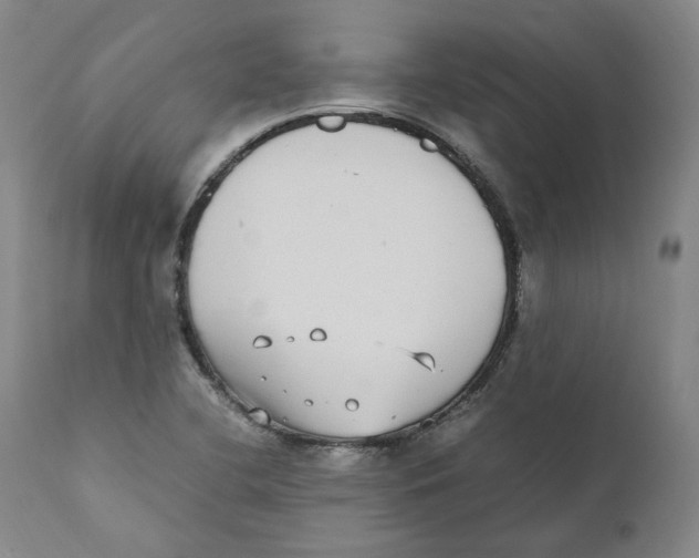 X0000110731412200907101417
