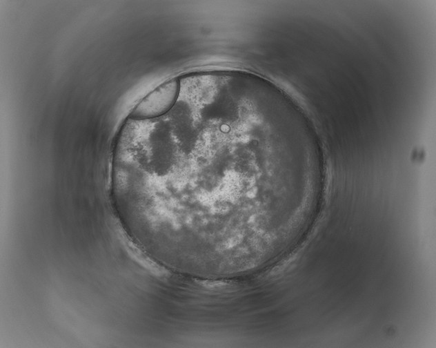 X0000110731413200907101417