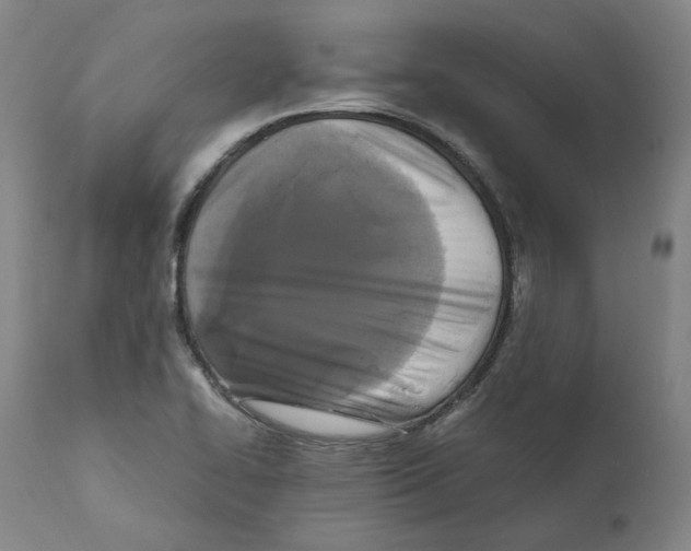 X0000110731414200907101417