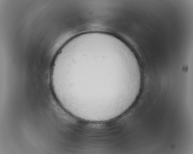 X0000110731415200907101417