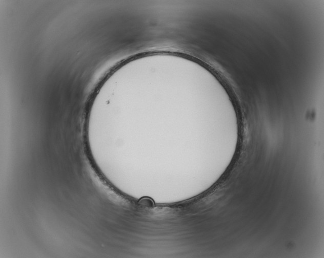 X0000110731416200907101417