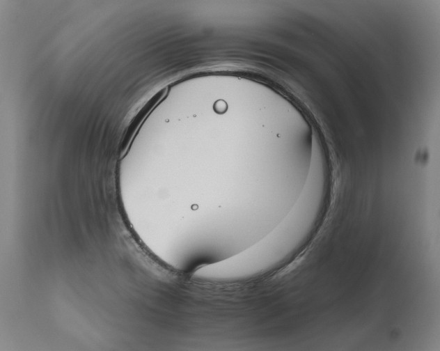 X0000110731417200907101417