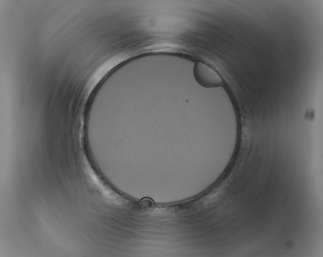 X0000110731418200907101417