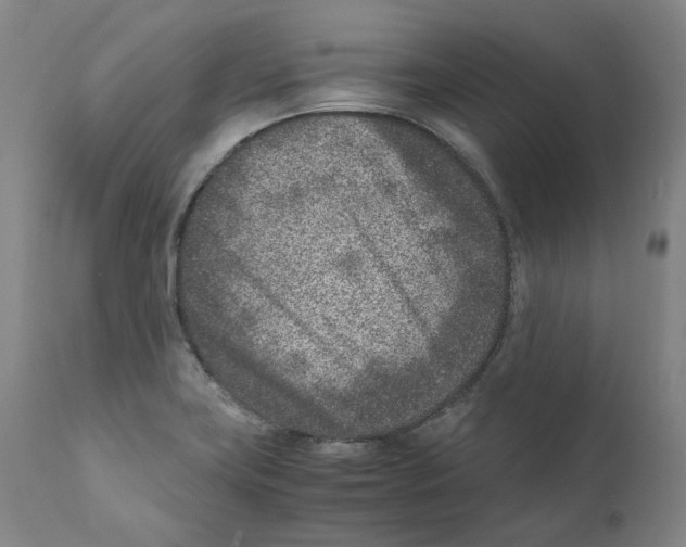 X0000110731419200907101417
