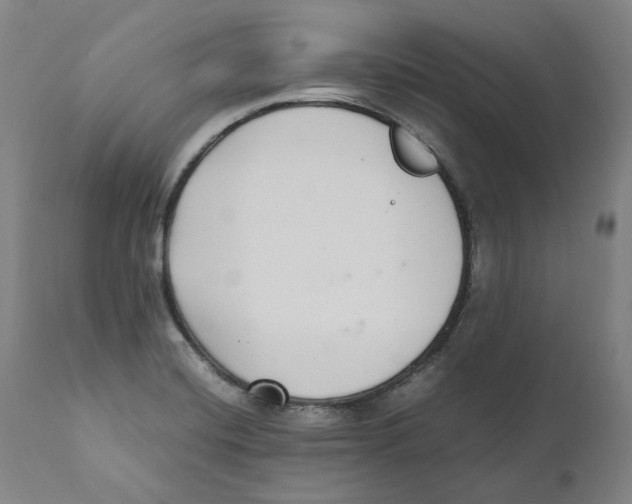 X0000110731420200907101417