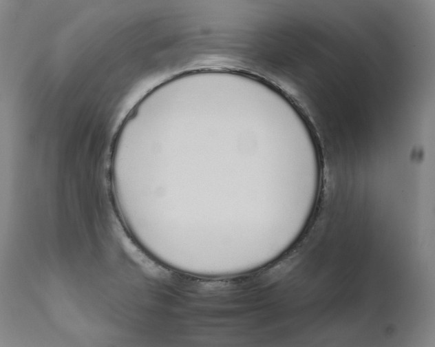 X0000110731421200907101417
