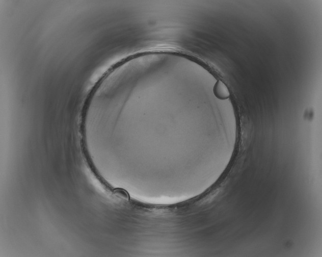 X0000110731422200907101417
