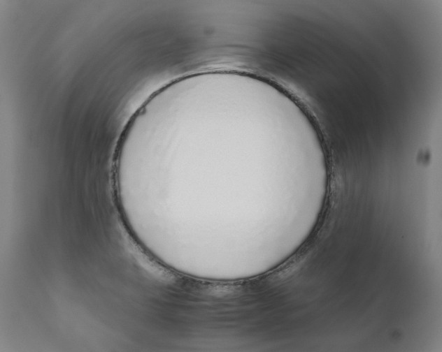X0000110731423200907101417