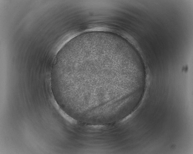 X0000110731425200907101417
