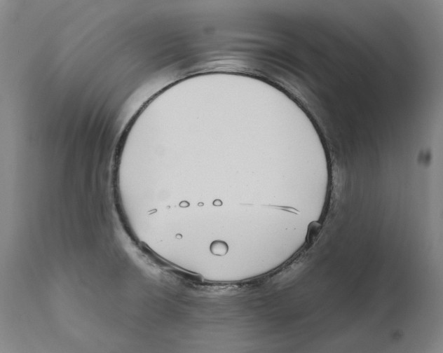 X0000110731426200907101417