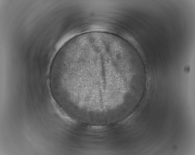 X0000110731427200907101417