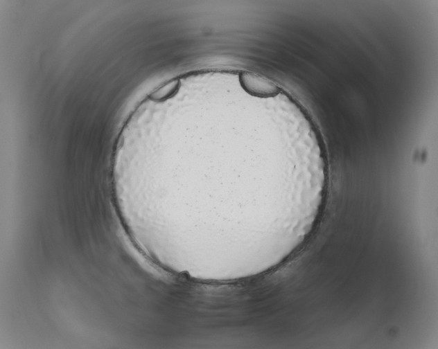 X0000110731429200907101417