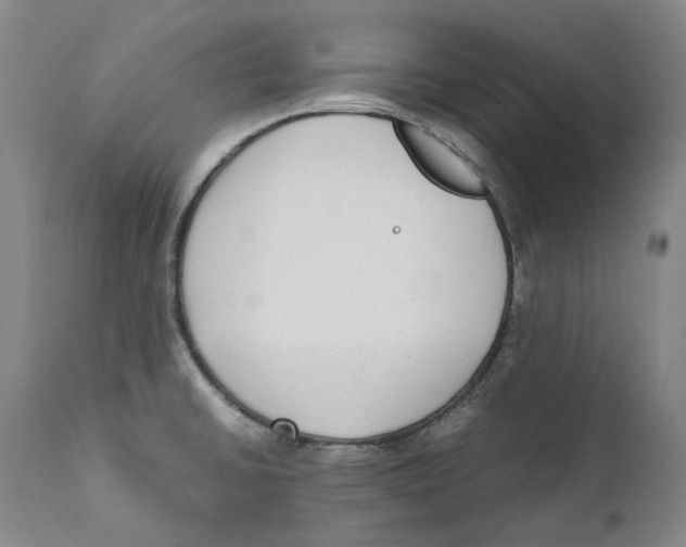 X0000110731430200907101417