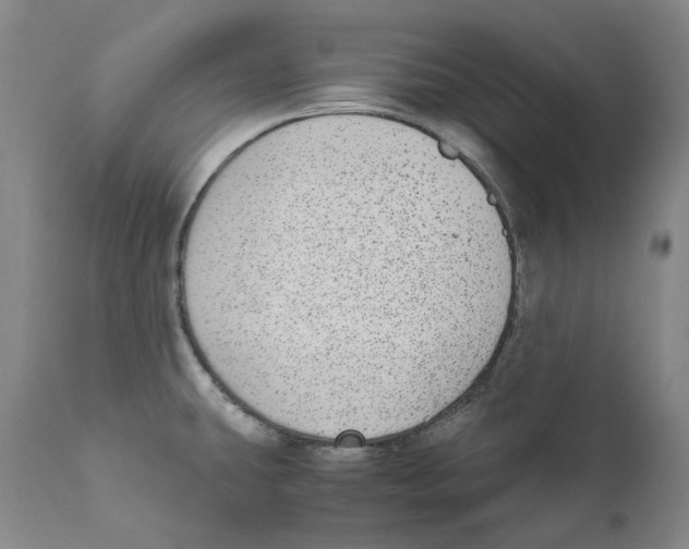 X0000110731431200907101417