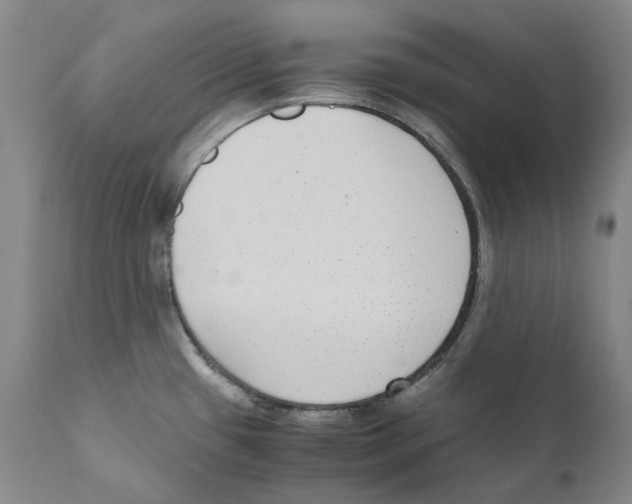 X0000110731433200907101417