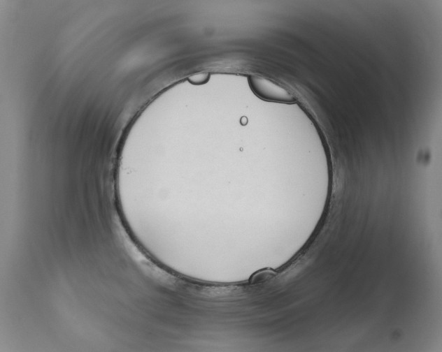 X0000110731434200907101417