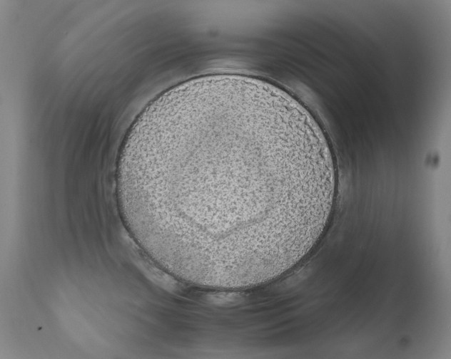 X0000110731435200907101417