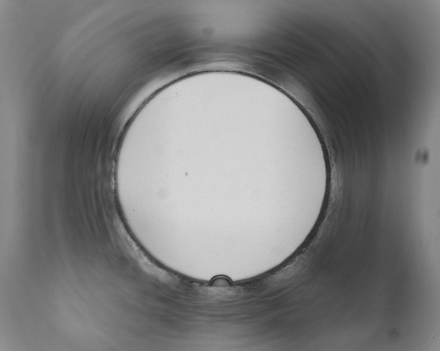 X0000110731436200907101417