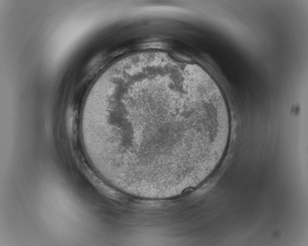 X0000110731438200907101417