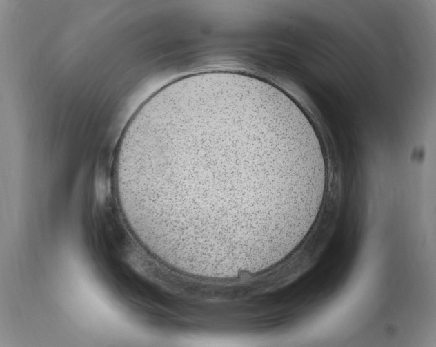 X0000110731439200907101417