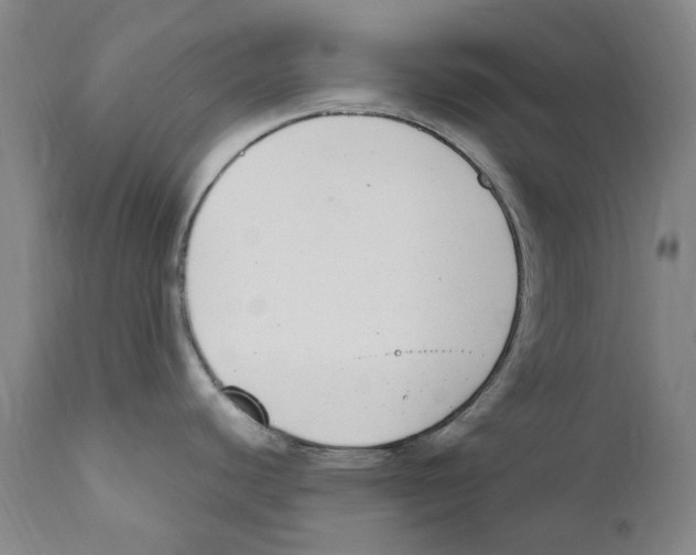 X0000110731440200907101417