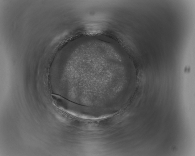 X0000110731441200907101417