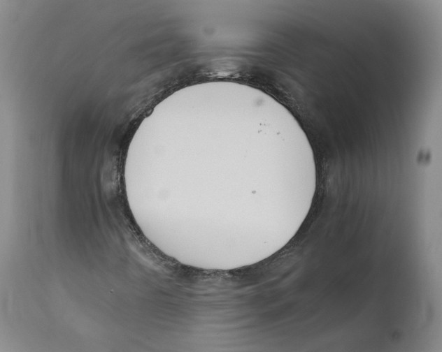 X0000110731442200907101417
