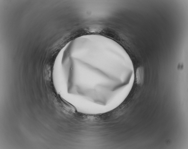 X0000110731443200907101417