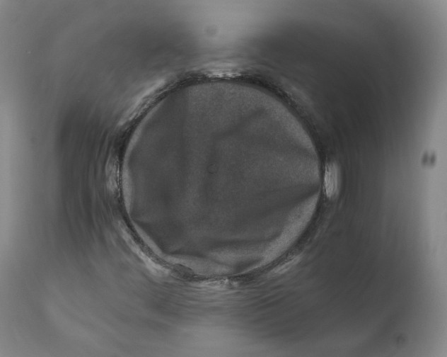 X0000110731444200907101417