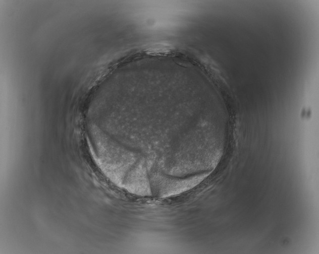 X0000110731445200907101417
