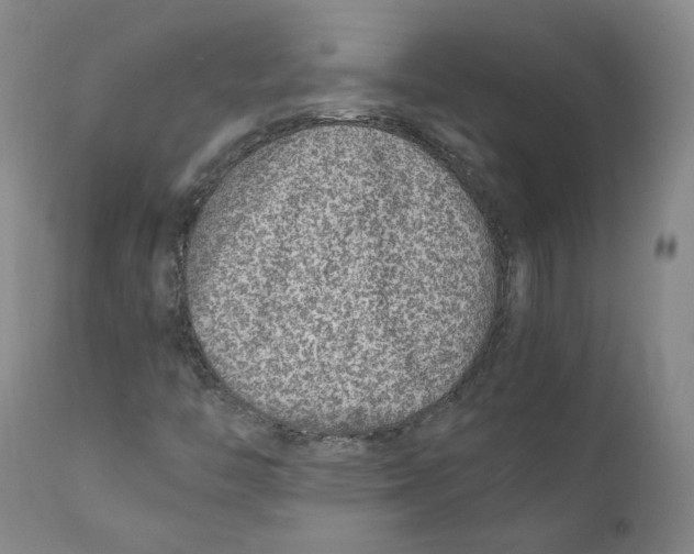 X0000110731446200907101417
