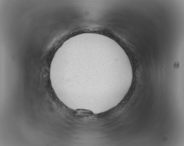 X0000110731447200907101417
