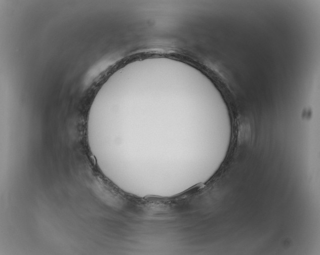 X0000110731448200907101417