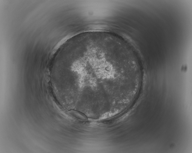 X0000110731449200907101417