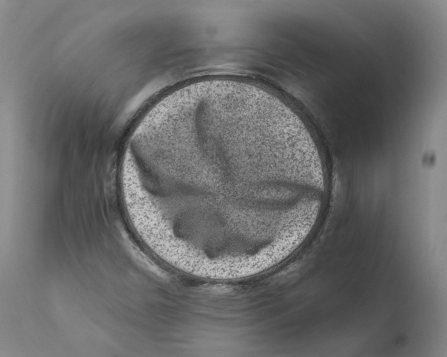 X0000110731450200907101417