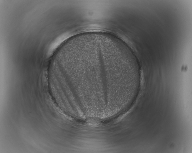 X0000110731453200907101417