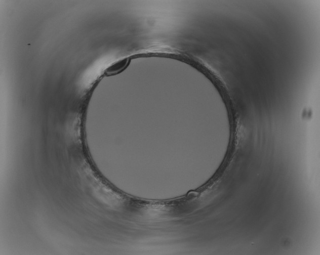 X0000110731455200907101417