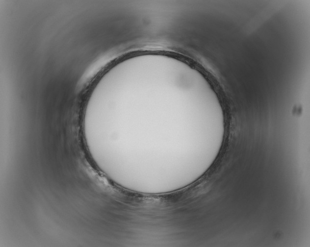 X0000110731456200907101417