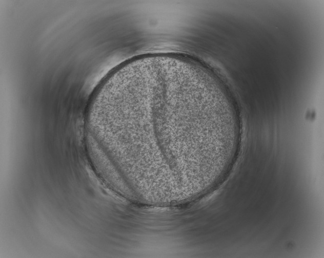 X0000110731457200907101417