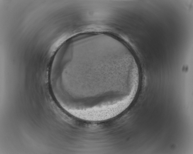 X0000110731459200907101417