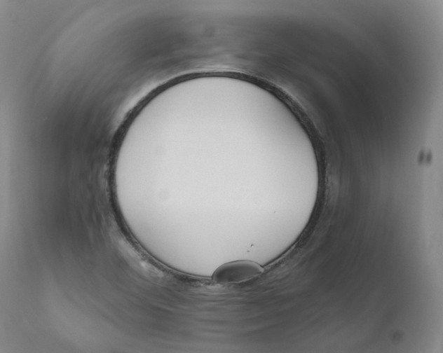X0000110731460200907101417