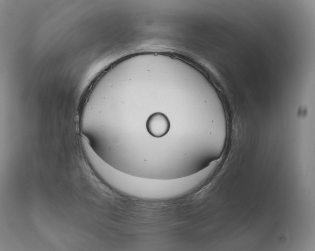 X0000110731461200907101417