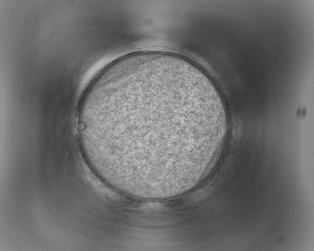 X0000110731462200907101417