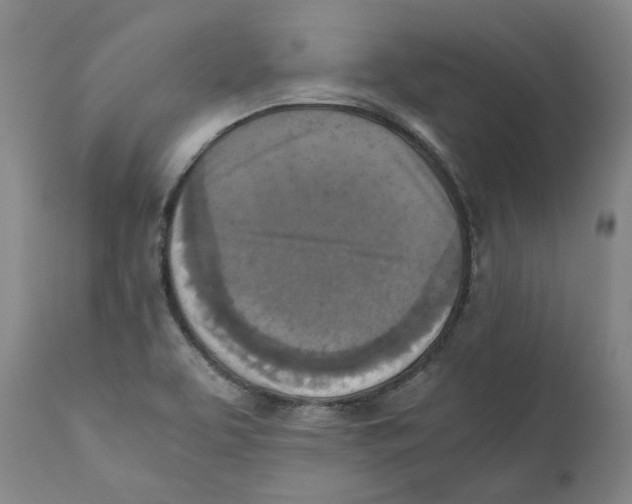 X0000110731463200907101417