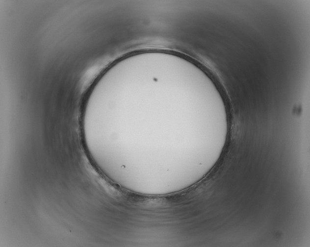 X0000110731464200907101417