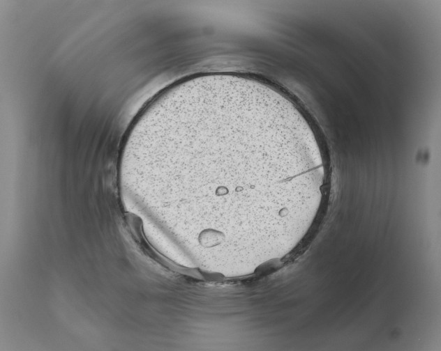 X0000110731465200907101416