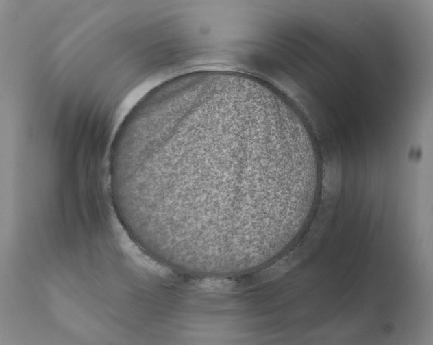 X0000110731466200907101416