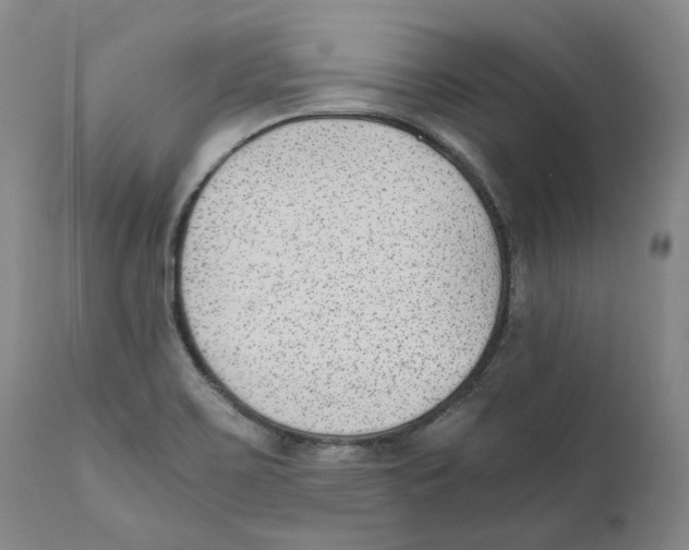 X0000110731467200907101416